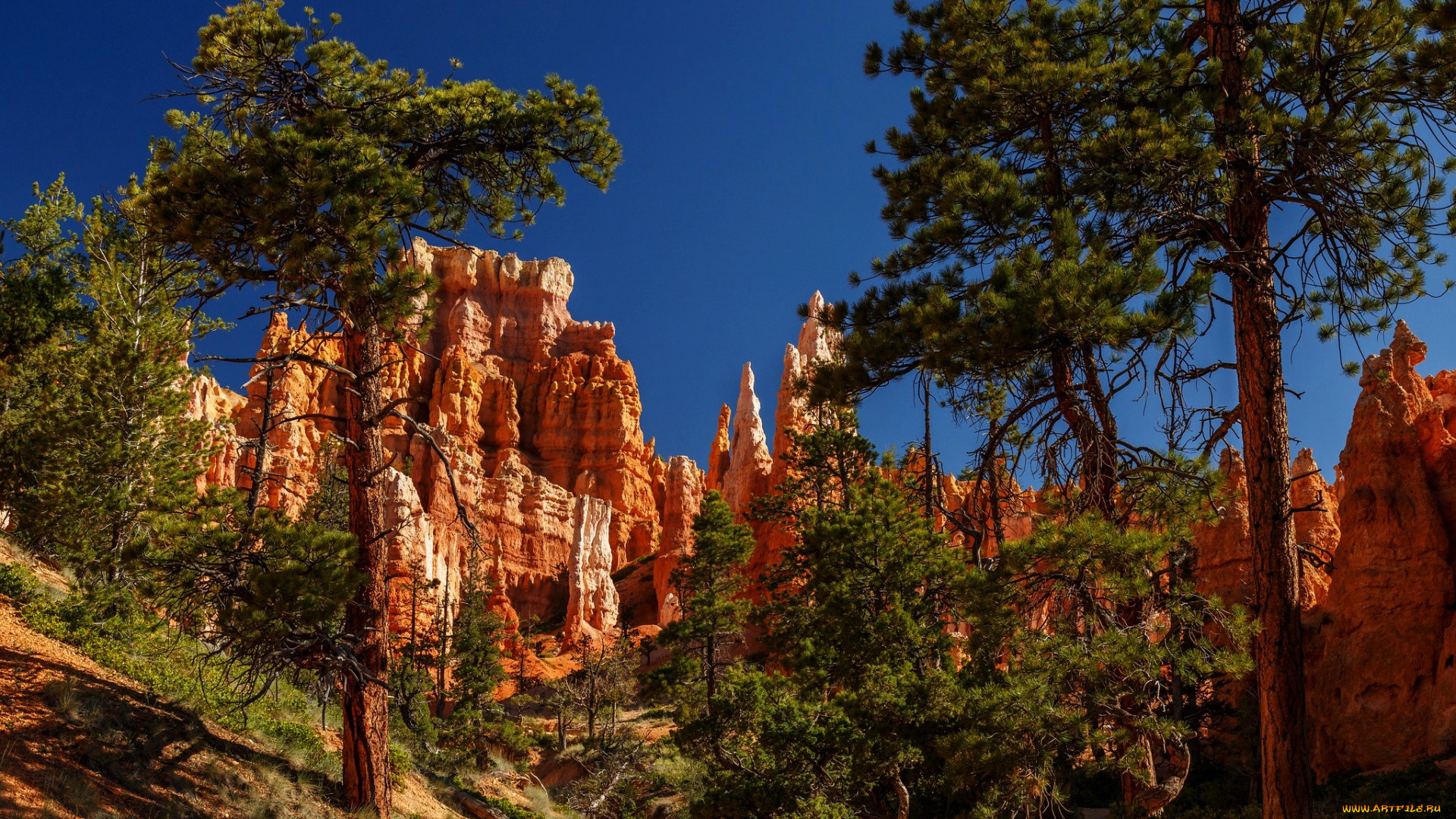 bryce canyon national park , utah, , , bryce, canyon, national, park